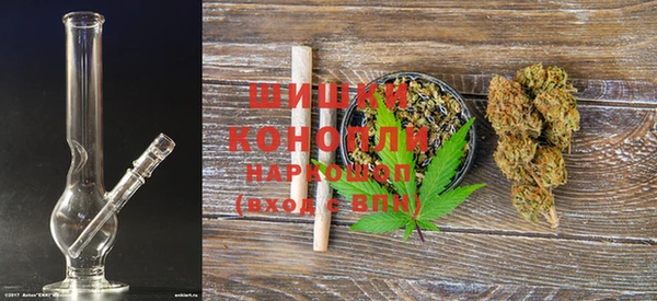 шишки Белокуриха