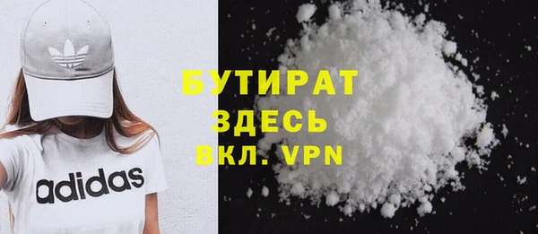 шишки Белокуриха