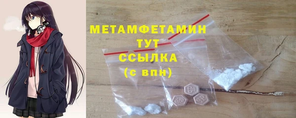 шишки Белокуриха