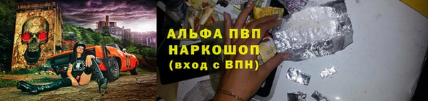 шишки Белокуриха
