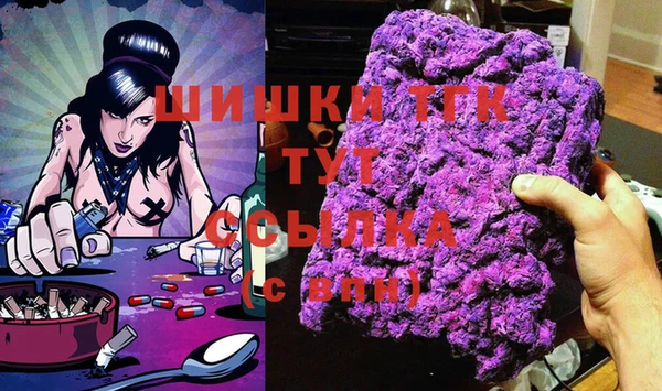 шишки Белокуриха