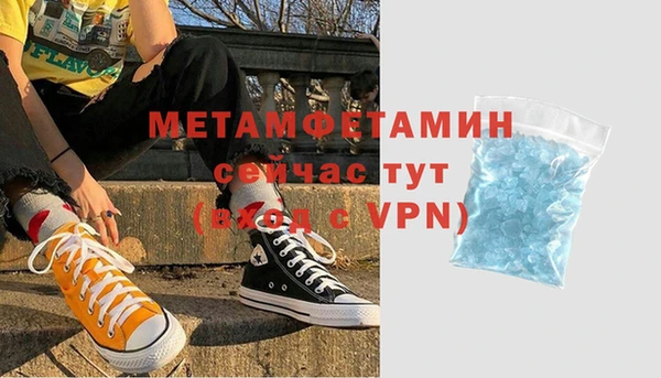 шишки Белокуриха