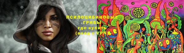 мяу мяу мука Беломорск