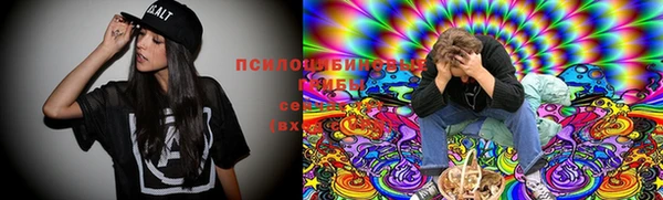 МДПВ Богородск