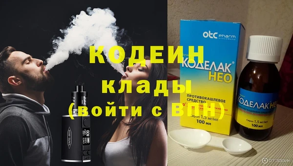 шишки Белокуриха